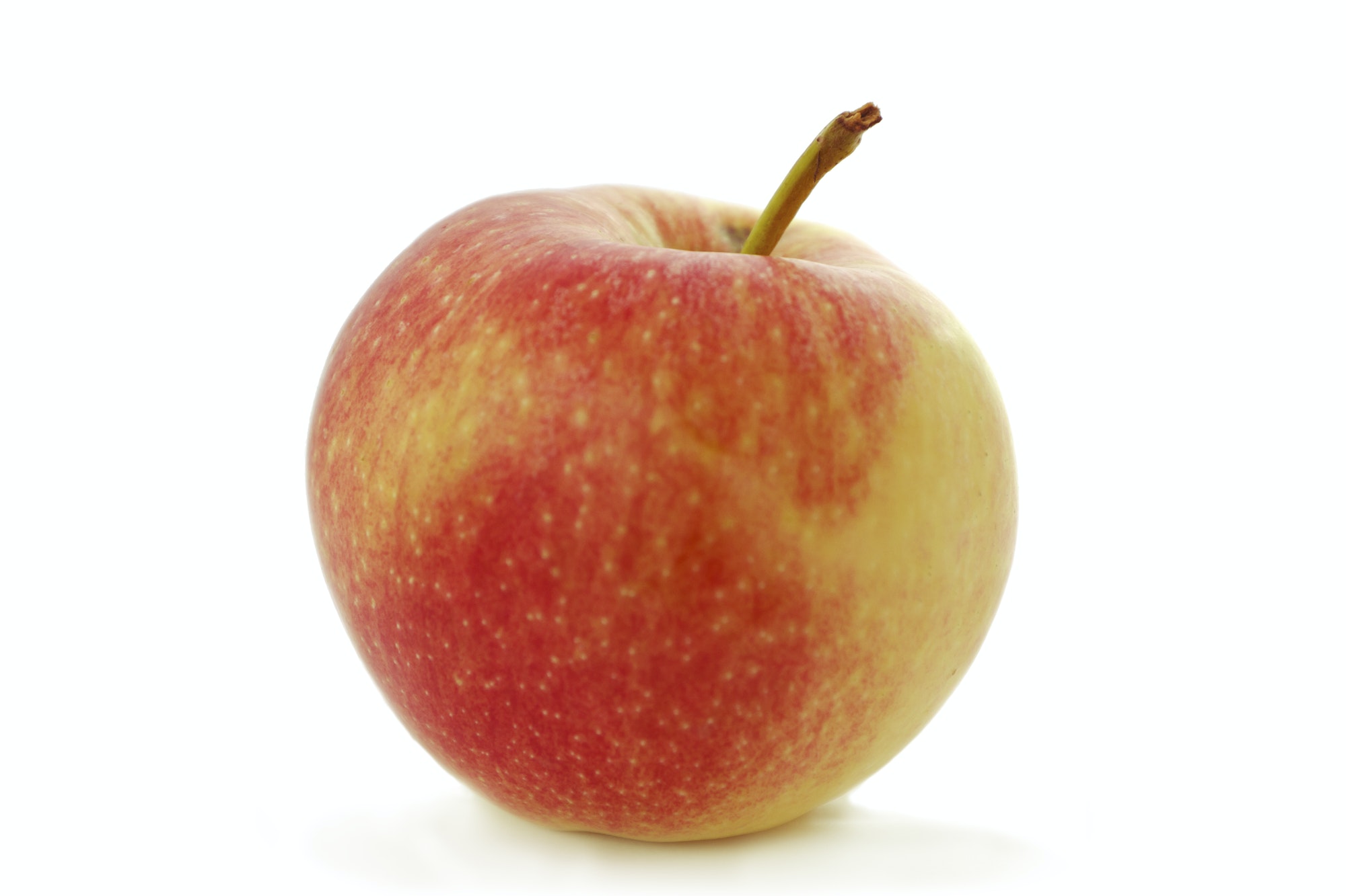 リンゴ型β3AR遺伝子